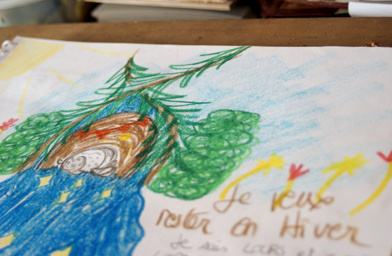 Cet Hiver j'ai revêtu ma peau d'Ourse. Ma peau d'Ourse comme une caverne. Une caverne chaleureuse Une caverne aux parois épaisse. Je m'y suis sentie en paix. En hibernation, coupée du monde. En pause, à l'abri, Au creux des grandes pattes de ma peau d'Ourse.