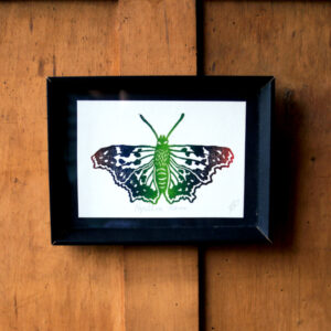 Linogravure Papillon Neon L'Aubépine