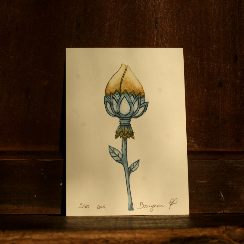 Bourgeon - Gravure tetrapak