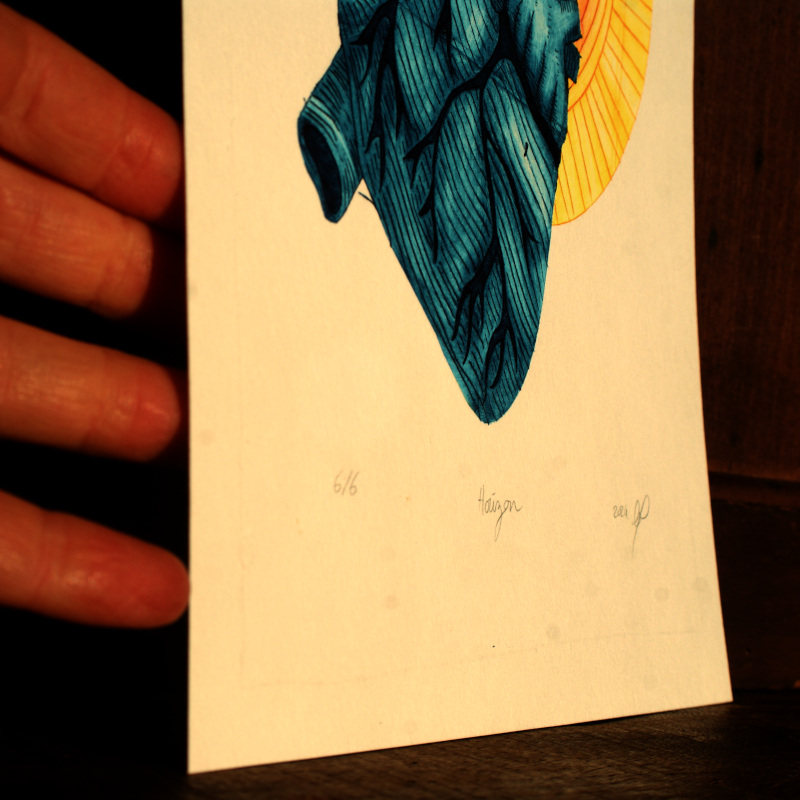 Horizon - Gravure Tetrapak Horizon - Gravure Tetrapak