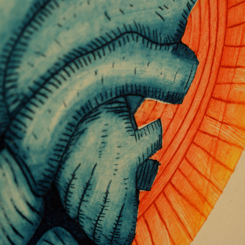 Horizon - Gravure Tetrapak Horizon - Gravure Tetrapak