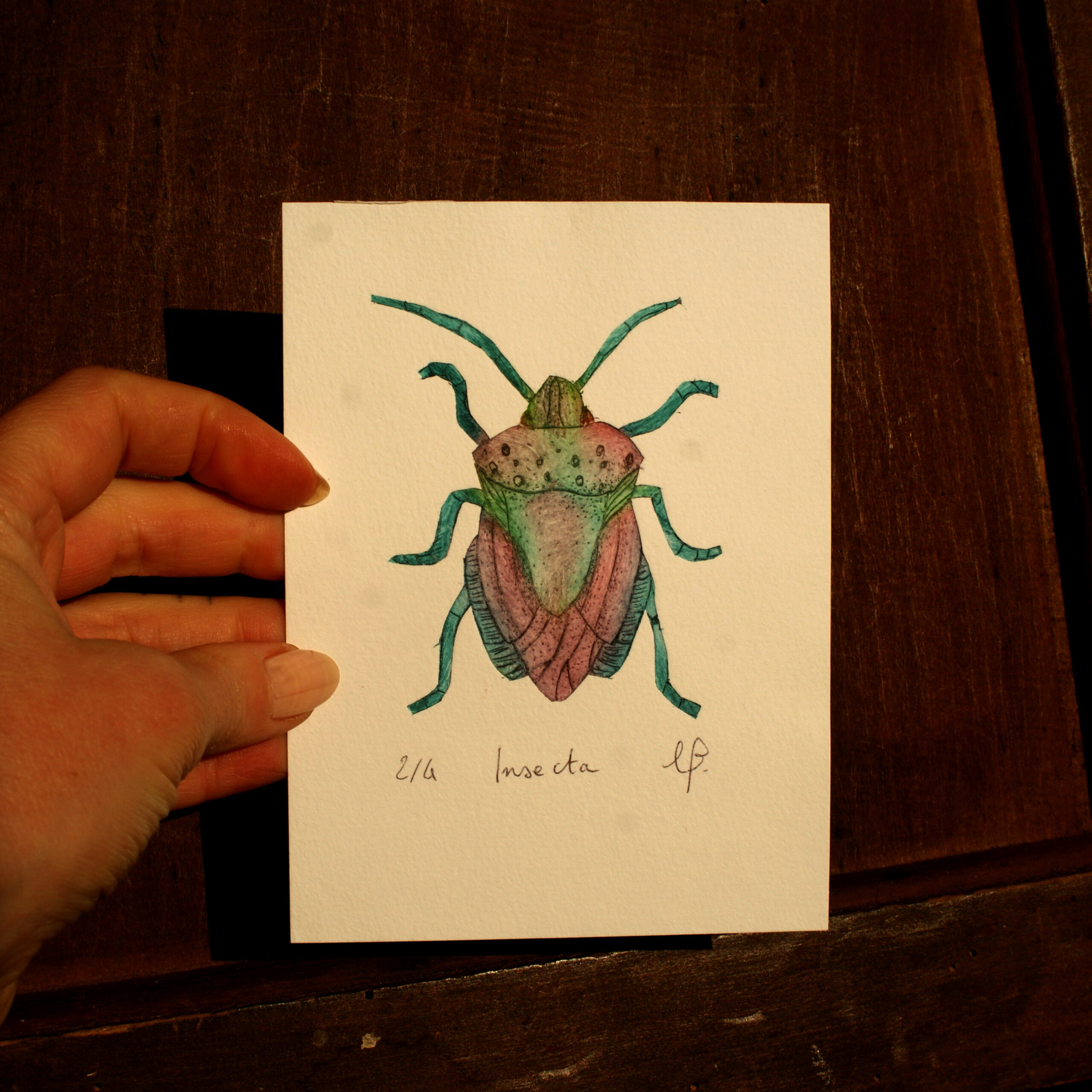 Insecta- Gravure tetrapak