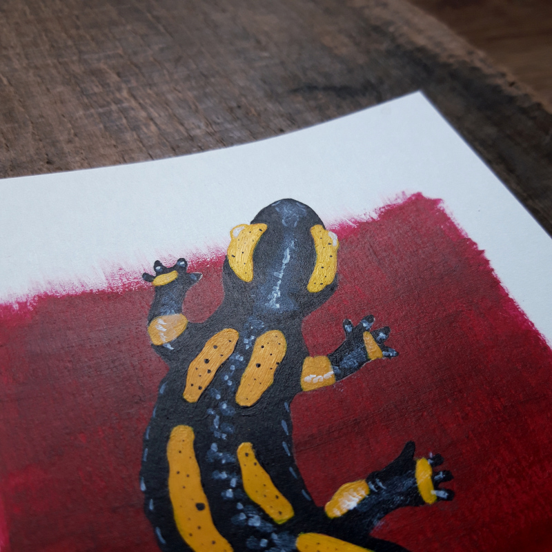 Peinture Salamandra Peinture Salamandra