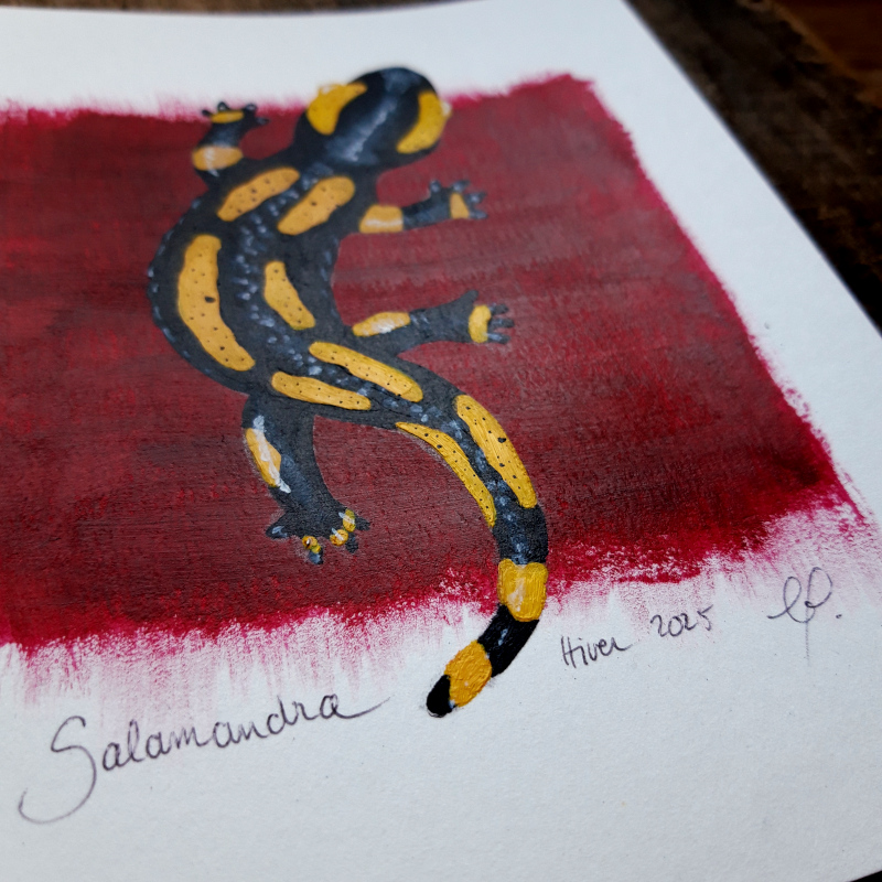 Peinture Salamandra Peinture Salamandra