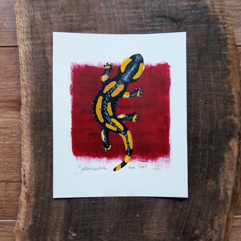 Peinture Salamandra Peinture Salamandra