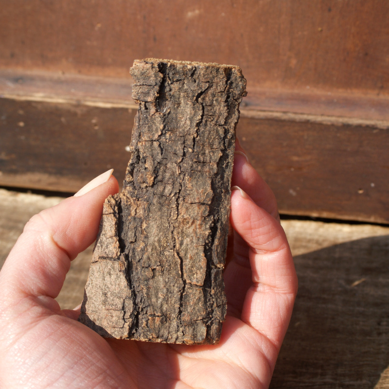 Uliva - Gardien serein